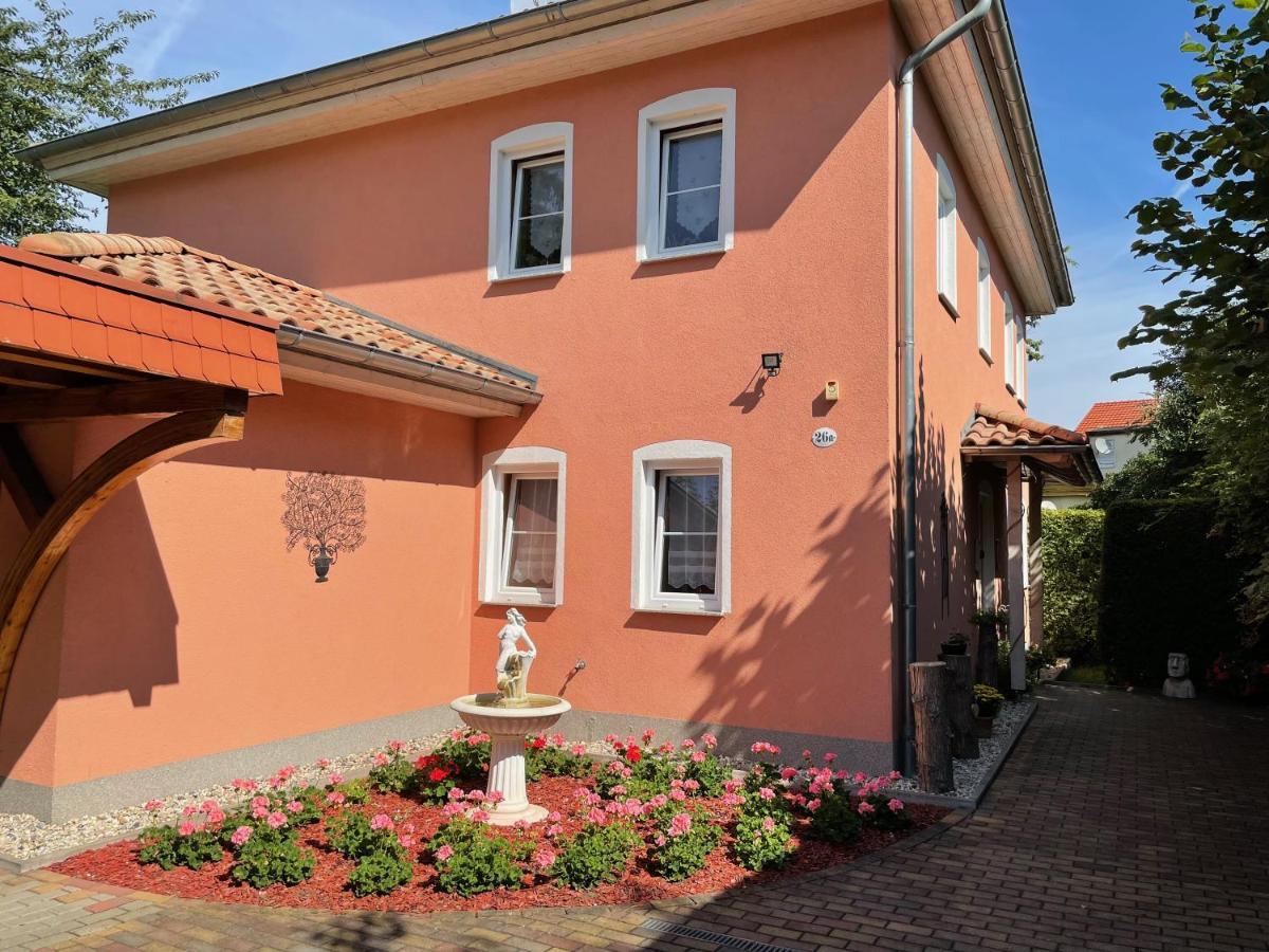 Zentrumsnahe Ferienwohnung Dresde Exterior foto